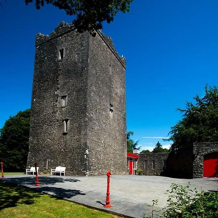 Ross Castle B&B Oldcastle Buitenkant foto