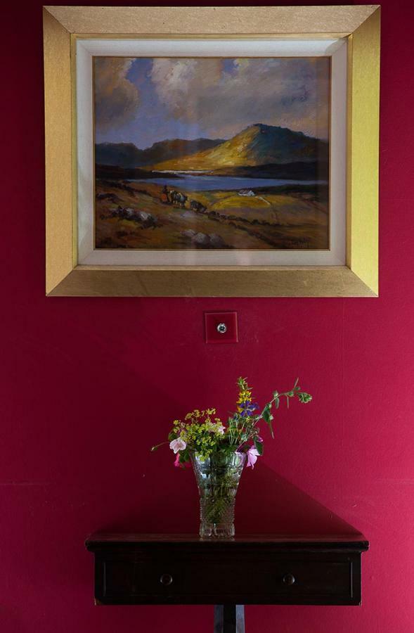 Ross Castle B&B Oldcastle Buitenkant foto