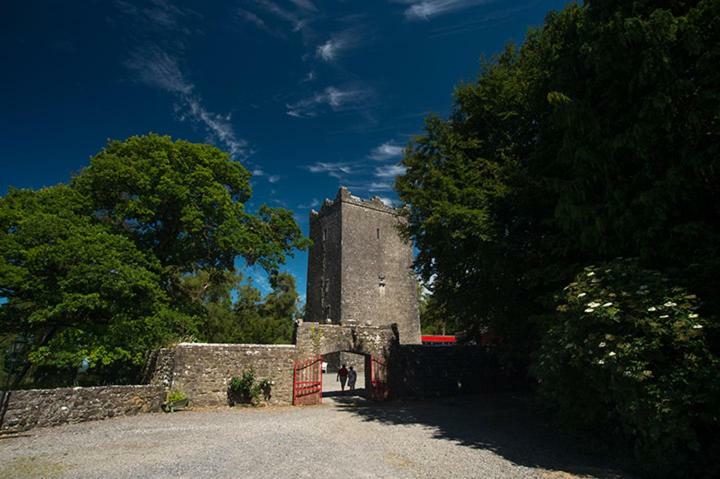 Ross Castle B&B Oldcastle Buitenkant foto
