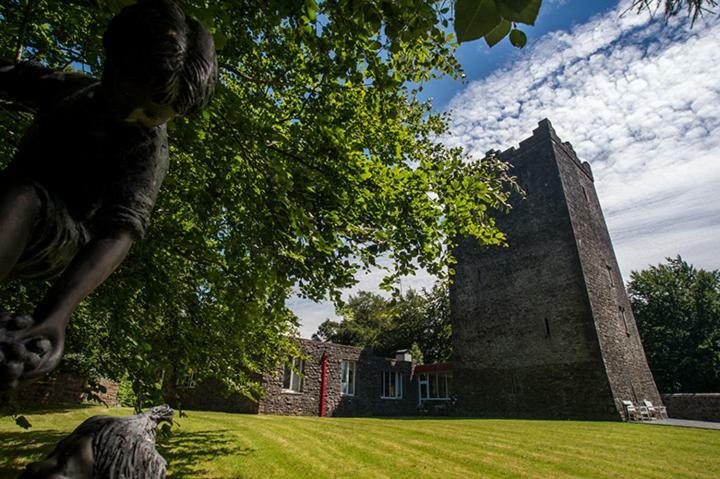 Ross Castle B&B Oldcastle Buitenkant foto